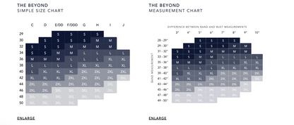 Size and measurement chart for 'The Beyond' bra on a white background